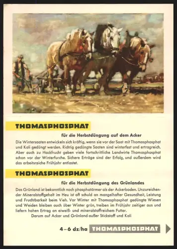 Klapp-AK Thomasphosphat für die Herbstdüngung auf dem Acker, Bauer mit Pferden bei der Feldbestellung