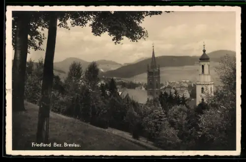AK Friedland, Panorama mit Kirchtürmen