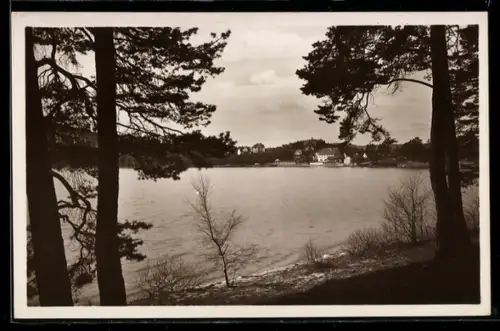 AK Thammühl am See, Seepartie und Ortsansicht