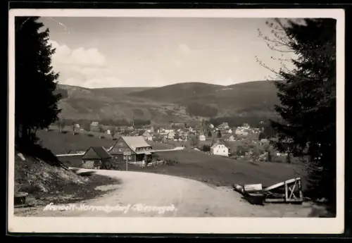 AK Harrachsdorf i. Riesengeb., Gesamtansicht
