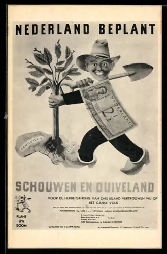 AK Nederland Beplant, Gärtner pflanzt einen Baum auf Schouwen-Douveland