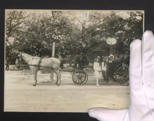 Fotografie Ansicht Wien, Pferdekutsche in der Prinzen-Allee mit Fahrgästen