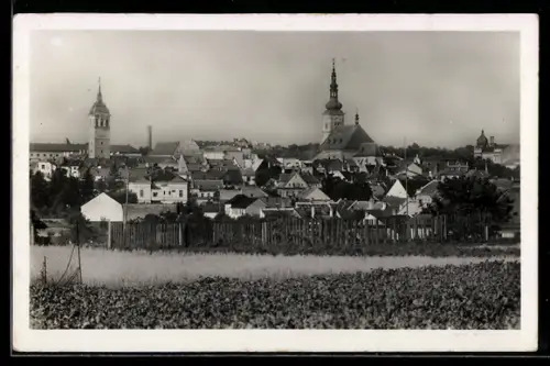 AK Vyskov, Celkový pohled