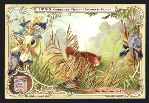 6 Sammelbilder Liebig, Serie Nr. 627: Tiere aus Wald und Feld, Wildschweine, Hasen, Fasane