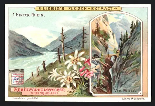 6 Sammelbilder Liebig, Serie Nr. 681: Der Rhein, Rheinfall bei Schaffhausen, Rüdesheim, Kölner Dom, Münster in Basel