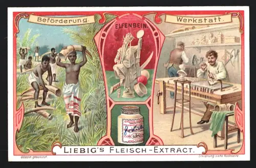 6 Sammelbilder Liebig, Serie Nr. 855: Förderung von Alabaster, Horn, Schildpatt, Korallen, Perlmutt, 