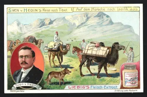 6 Sammelbilder Liebig, Serie Nr. 947: Sven v. Hedin`s Reise nach Tibet, Kosak Schagdur, Turdu Bai, Lama Schereb