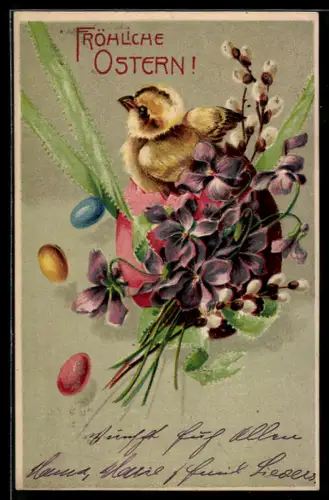 AK Osterküken schlüpft aus einem Ei