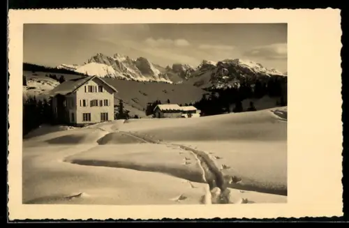 AK Rifugio Cristomanno /Alpe di Siusi, Panorama