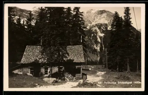 AK Schattenlaganthütte, Ansicht mit Tannen u. Bergpanorama