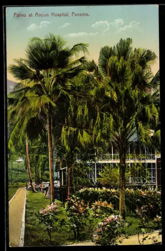 AK Panama, Palms at Ancun Hospital