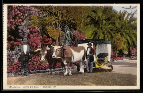 AK Madeira, Carro de bois