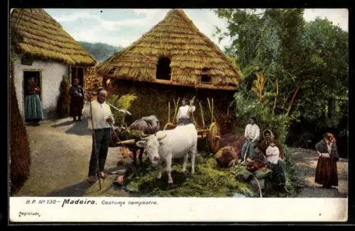 AK Madeira, Costume e campestre