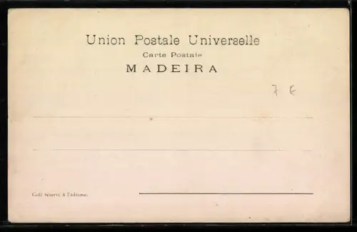 AK Madeira, Fonte do Monte