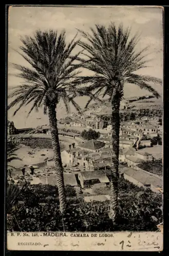 AK Madeira, Camara de Lobos