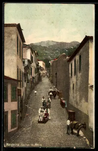 AK Madeira, Carros de Monte, Esel