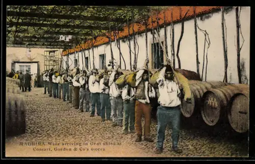 AK Madeira, Wine arriving in Goat skins at Cossart, Gordon & Co`s stores