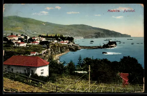 AK Funchal, Blick zum Ort, Dampfer