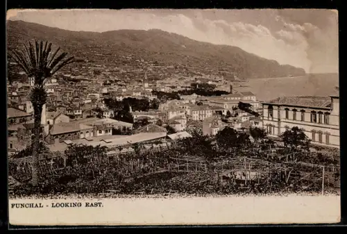 AK Funchal, Looking East