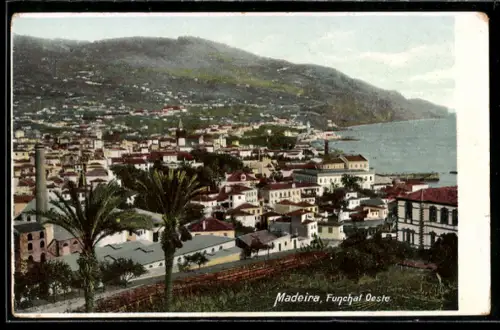 AK Funchal, Totalansicht