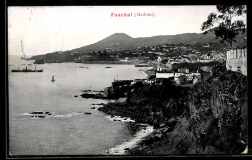 AK Funchal, Gesamtansicht mit Hafen, Schiffe
