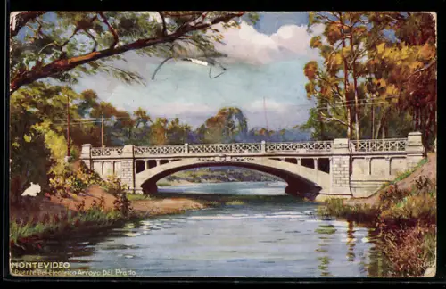 Künstler-AK Montevideo, Puente Del Electrico Arroyo Del Prado