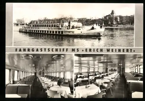 AK Elbe-Fahrgastschiff MS Erich Weinert, Aussen- u. Innenansichten