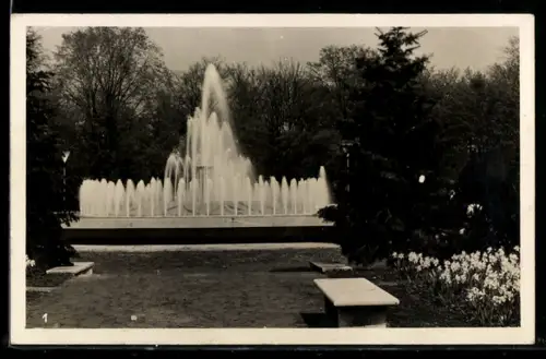 AK Dresden, Reichsgartenschau 1936, Partie im Garten mit Springbrunnen, Ausstellung