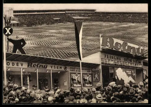 AK Prag, Sokol 1938, Vseokolskeho Sletu