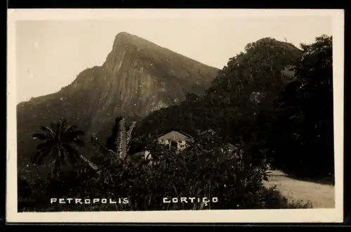 AK Petropolis, Cortico