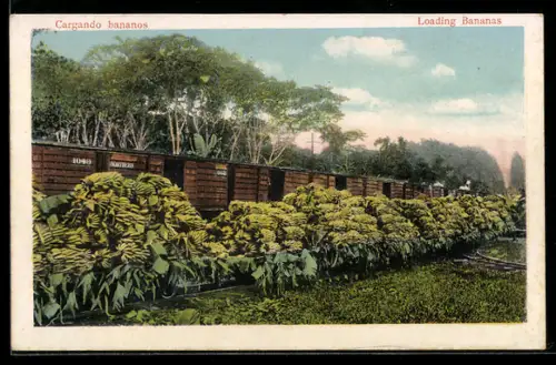 AK Costa Rica, Cargando bananos