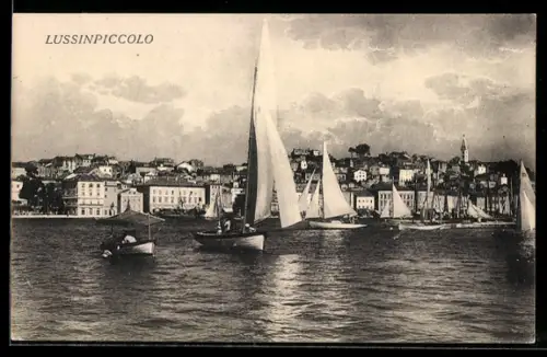 AK Lussinpiccolo, Hafen mit Segelbooten
