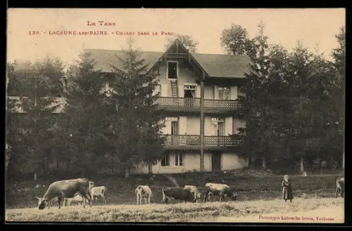 AK Lacaune-les-Bains, Chalet dans le parc