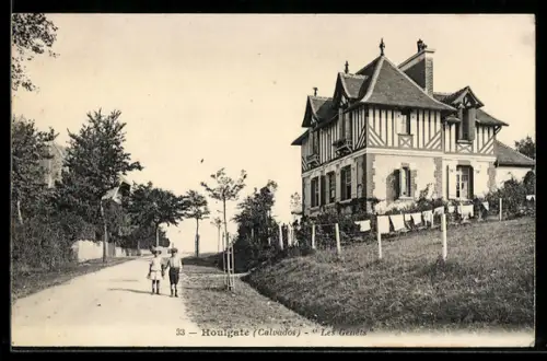 AK Houlgate /Calvados, Les genêts