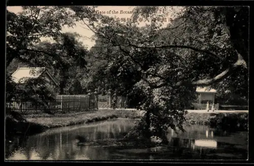 AK Japan, Gate of the Botanical Garden