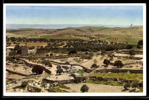 AK Bethlehem, View towards the Desert and the field of the Shepherds