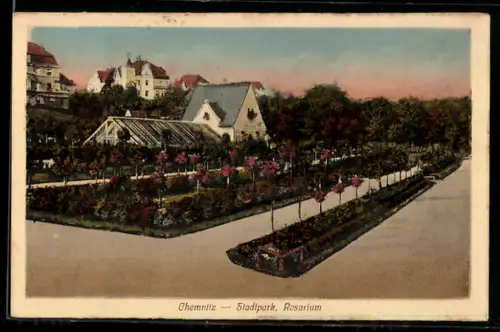 AK Chemnitz, Stadtpark, Rosarium