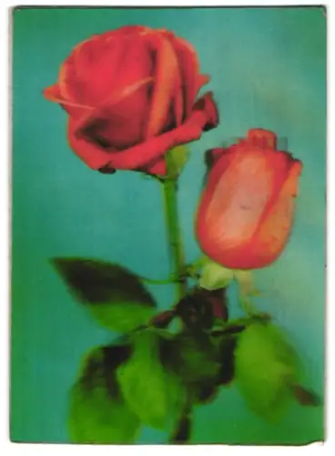 3D-AK Rote Rosen auf türkisem Hintergrund