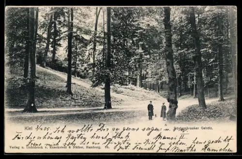 AK Kiel, Düsternbrooker Gehölz