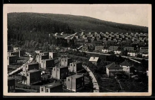 AK Zlin, Bata-Kolonie