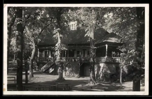 AK Frenstát, Vlcina frenstátských Horeckách