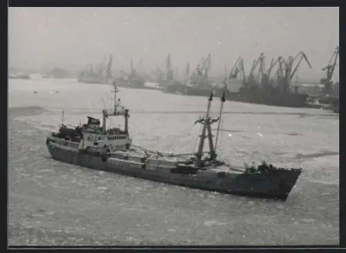 Fotografie Sowjetisches Frachtschiff mit Holzladung an Deck im Hamburger Hafen