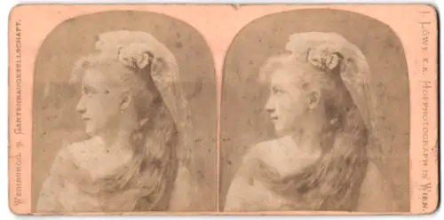 Stereo-Fotografie Portrait einer hübschen Frau im Profil mit aufwändiger Frisur