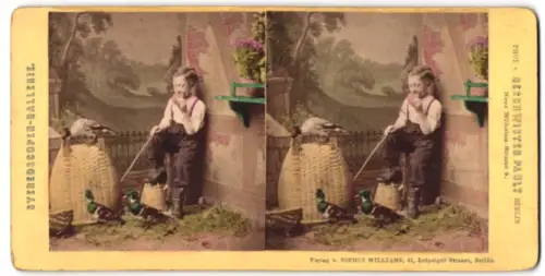 Stereo-Fotografie Junges Kind isst ein Brot in der Nähe von Enten