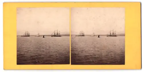 Stereo-Fotografie The Channel Fleet in the Firth of Forth