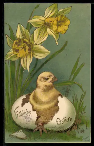 Lithographie Osterküken schlüpft aus Eierschale, Osterglocken, Fröhliche Ostern