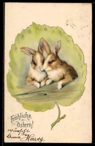 Lithographie Zwei Kaninchen im Blatt-Passepartout, Osterhase