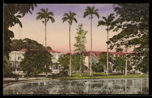 AK Codrington, Codrington College, Gebäude mit Palmen und Teich