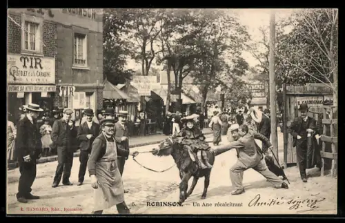 AK Robinson, Un Ane récalcitrant