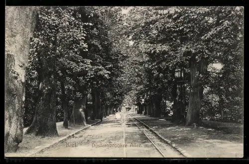 AK Kiel, Düsternbrooker Allee